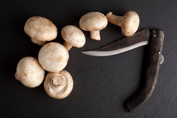 Découvrez le couteau à champignon personnalisé idéal pour vous